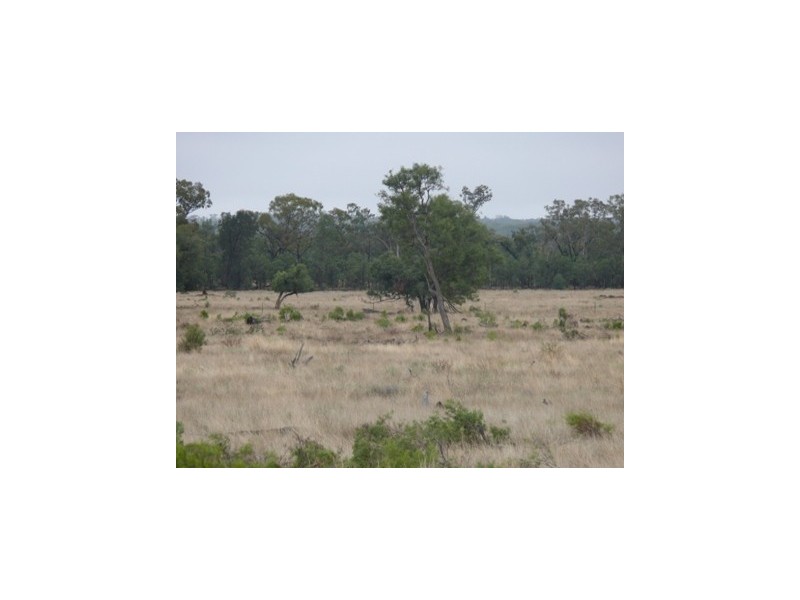 ” Lyndock “, Surat QLD 4417