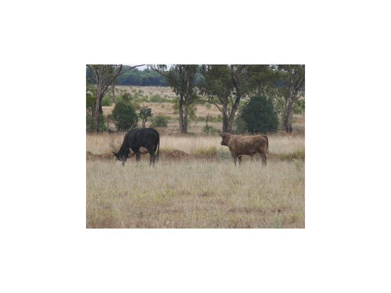 ” Lyndock “, Surat QLD 4417