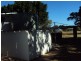 11 Cassowary Street, Longreach QLD 4730