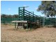 Blackall QLD 4472