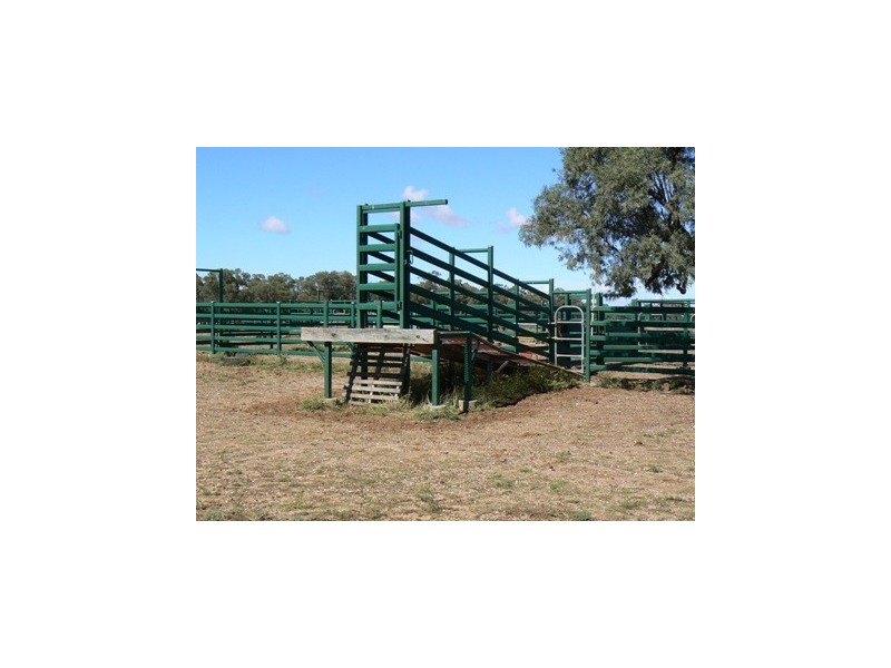 Blackall QLD 4472