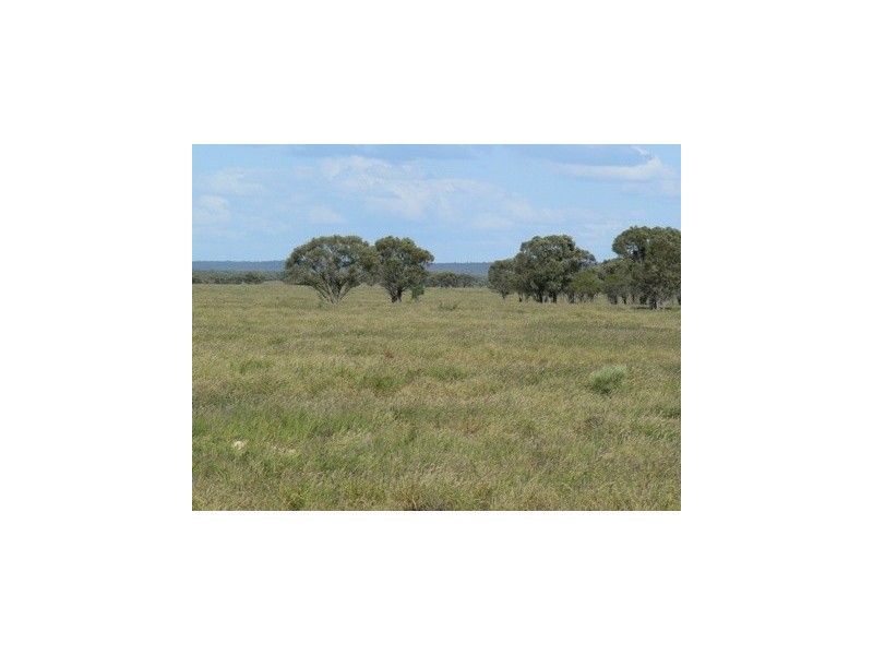 Blackall QLD 4472