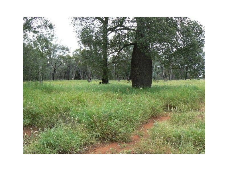 Blackall QLD 4472