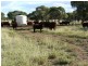 Blackall QLD 4472