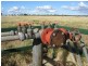 Blackall QLD 4472