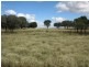 Blackall QLD 4472