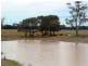The Gums QLD 4406