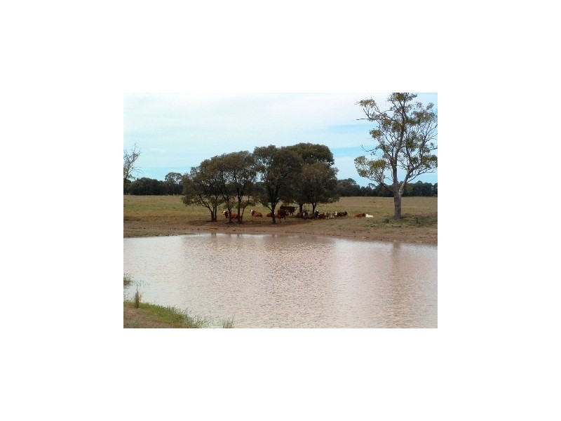 The Gums QLD 4406