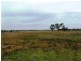 The Gums QLD 4406