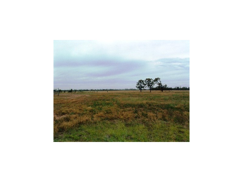 The Gums QLD 4406