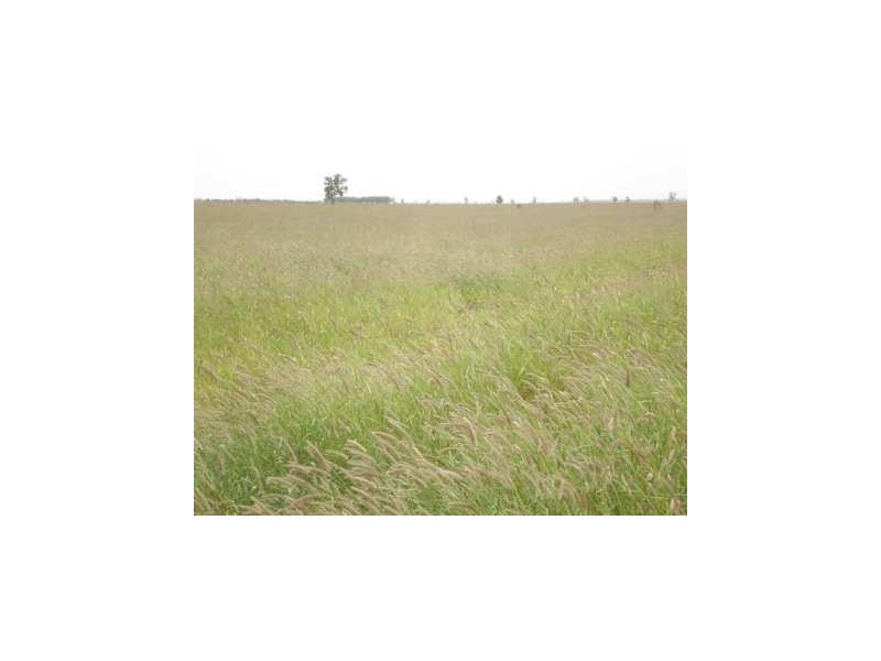 . CHERITON, St George QLD 4487