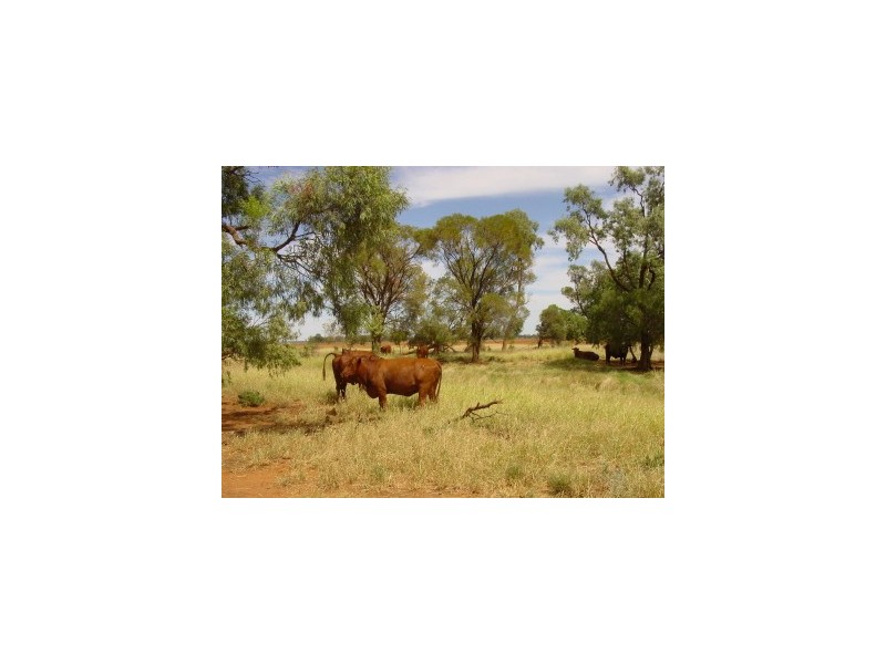 . CHERITON, St George QLD 4487