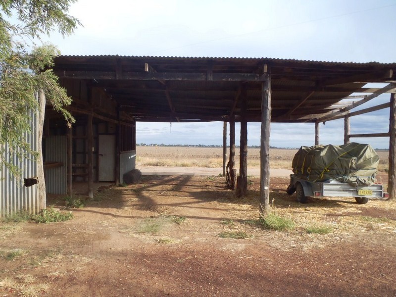 Farm 95 10821 Carnarvon Highway, St George QLD 4487