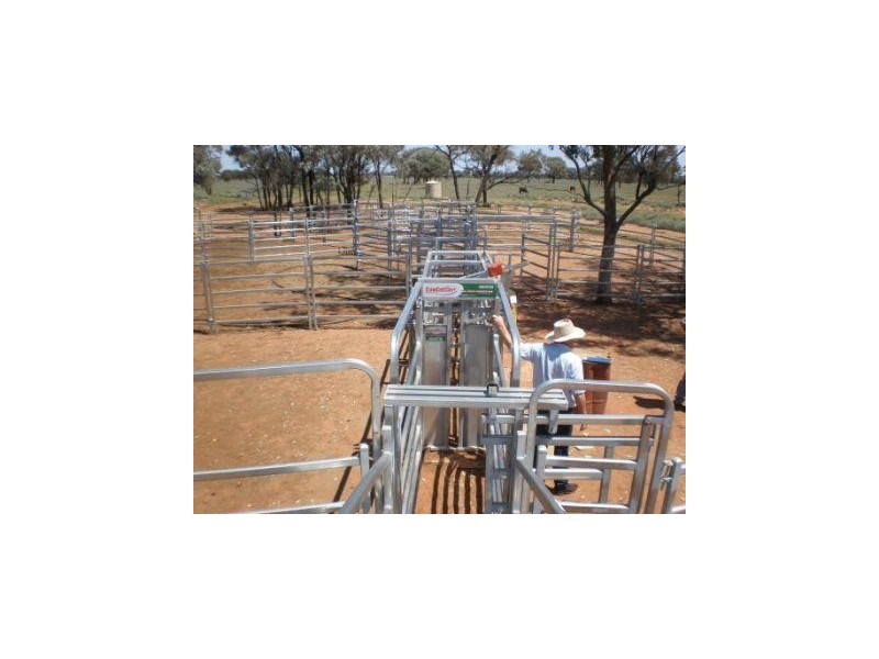 Dirranbandi QLD 4486