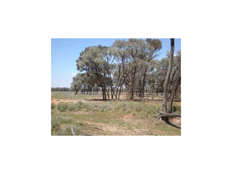 Dirranbandi QLD 4486