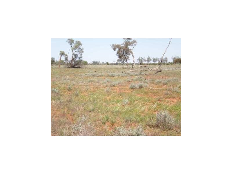 Dirranbandi QLD 4486