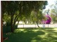 158 The Terrace, St George QLD 4487