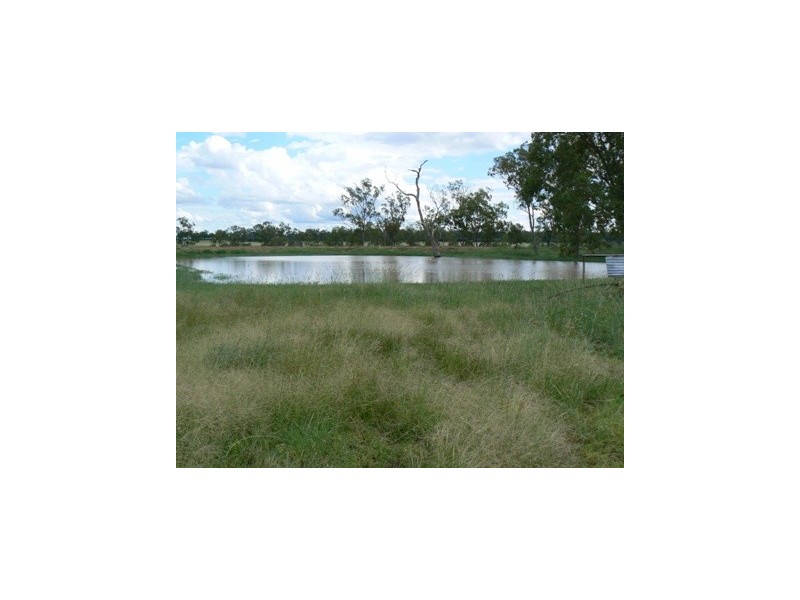 ” Wilga View”, Wandoan QLD 4419