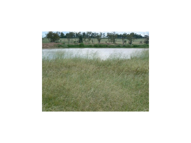 ” Wilga View”, Wandoan QLD 4419