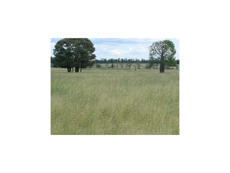 Roma QLD 4455