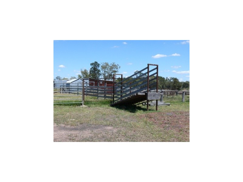 Dulacca QLD 4425