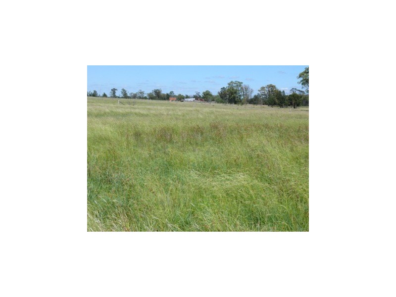 Dulacca QLD 4425