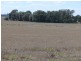 Dulacca QLD 4425