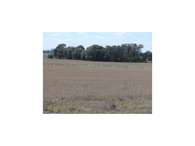 Dulacca QLD 4425