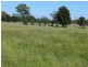 Dulacca QLD 4425