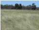 Dulacca QLD 4425