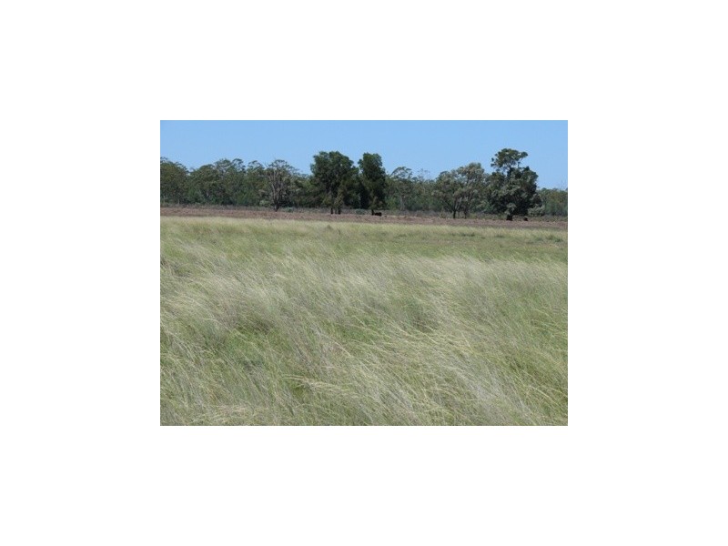Dulacca QLD 4425