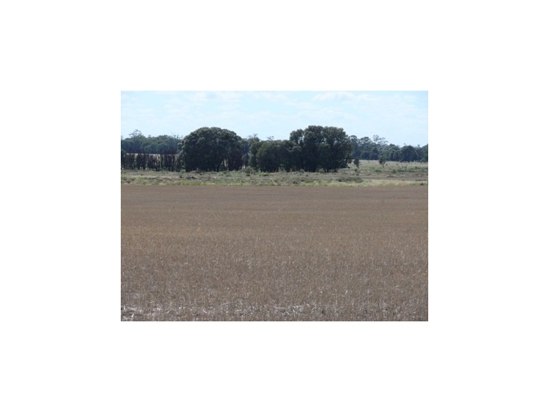 Dulacca QLD 4425