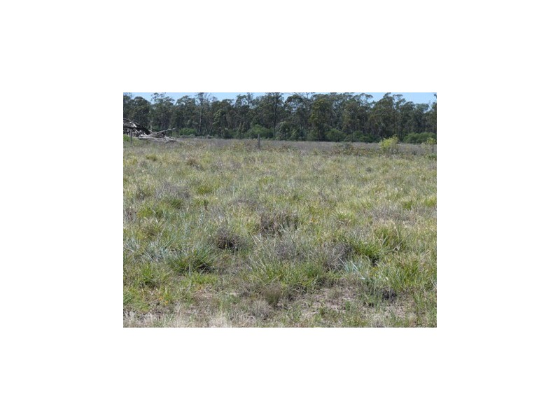 Dulacca QLD 4425