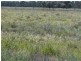 Dulacca QLD 4425