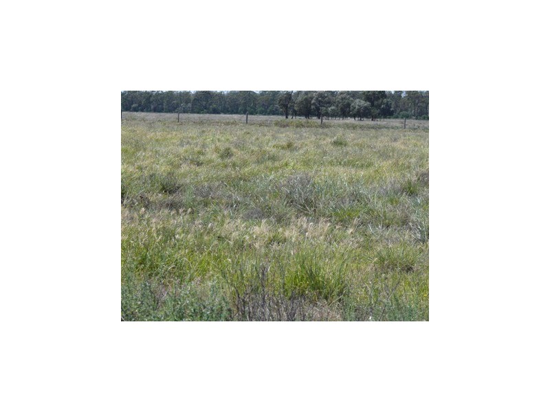 Dulacca QLD 4425