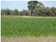 Dulacca QLD 4425
