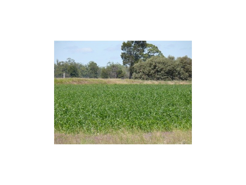 Dulacca QLD 4425