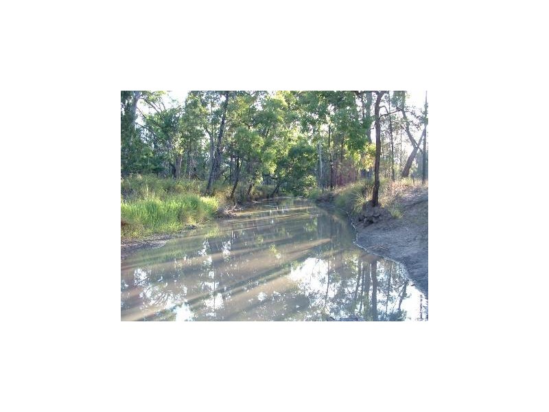 ” Duckless Farm”, Dalby QLD 4405