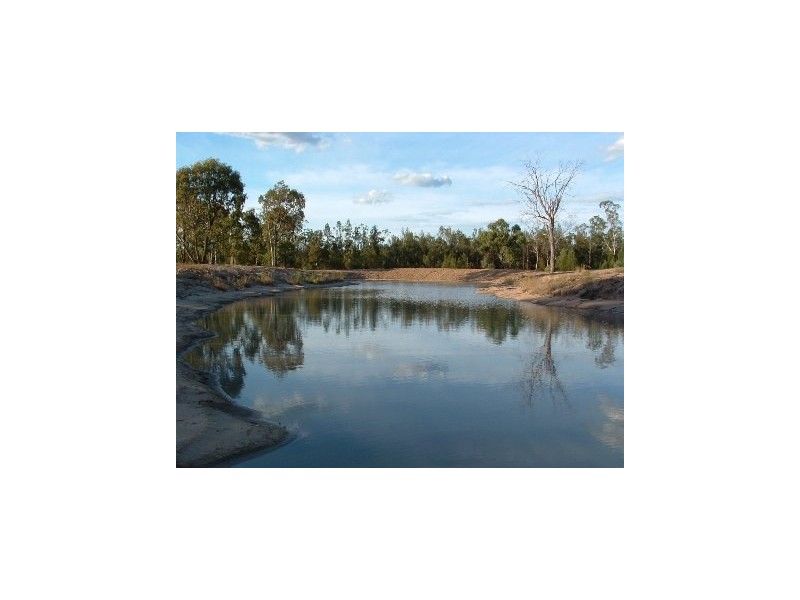 ” Duckless Farm”, Dalby QLD 4405