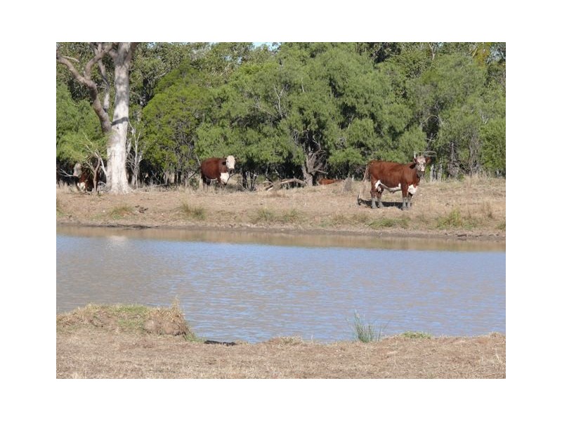 Wallumbilla QLD 4428