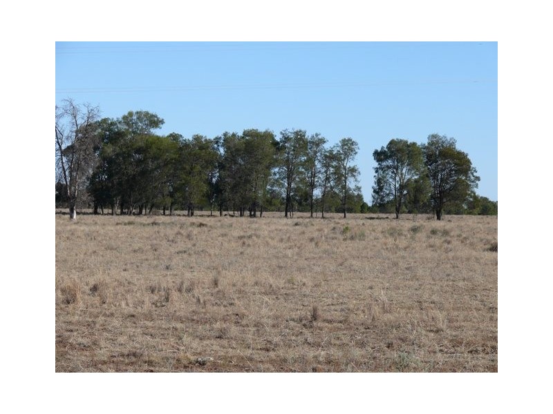 Wallumbilla QLD 4428