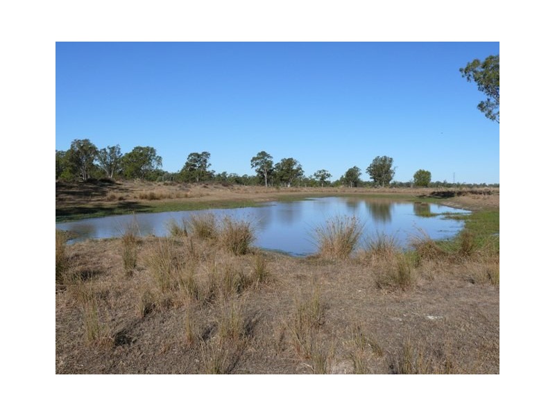 Wallumbilla QLD 4428