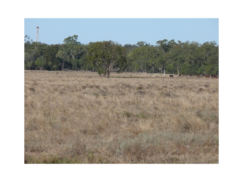 Wallumbilla QLD 4428