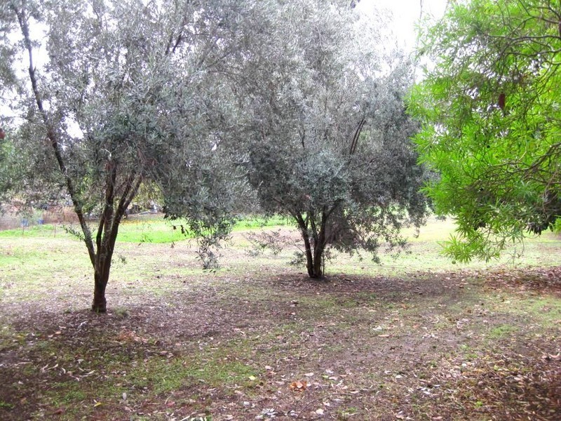 Goondiwindi QLD 4390