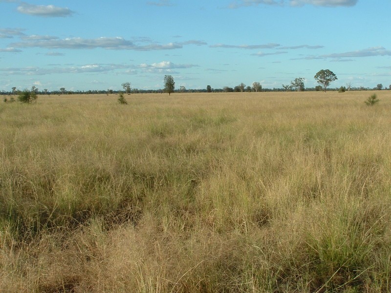 St George QLD 4487