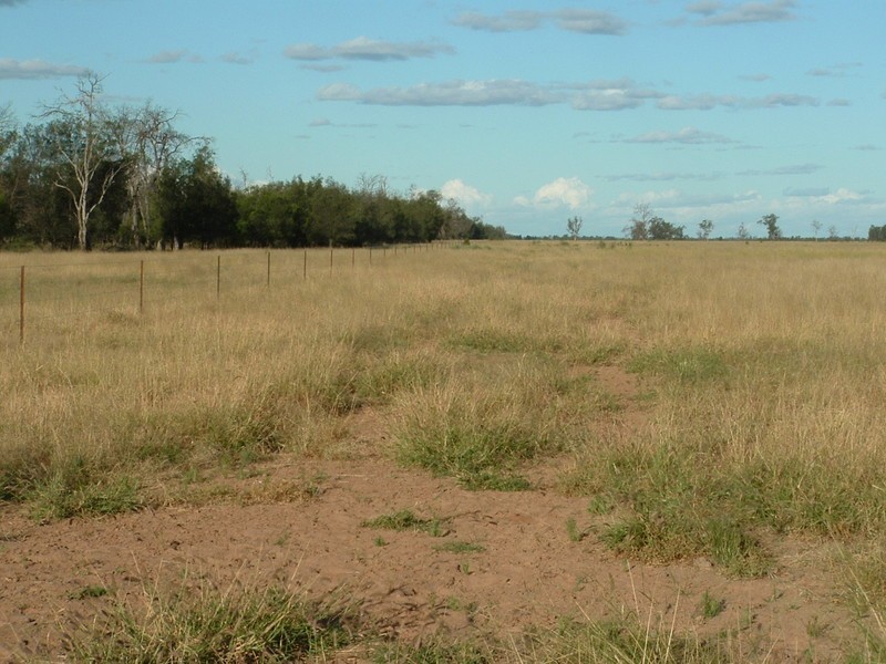 St George QLD 4487