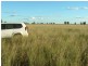 St George QLD 4487