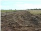 St George QLD 4487