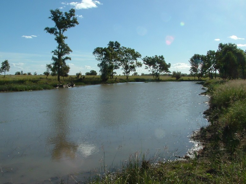 St George QLD 4487