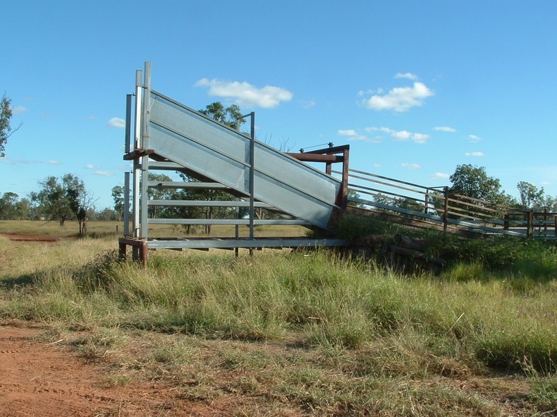 St George QLD 4487